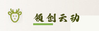 合作伙伴